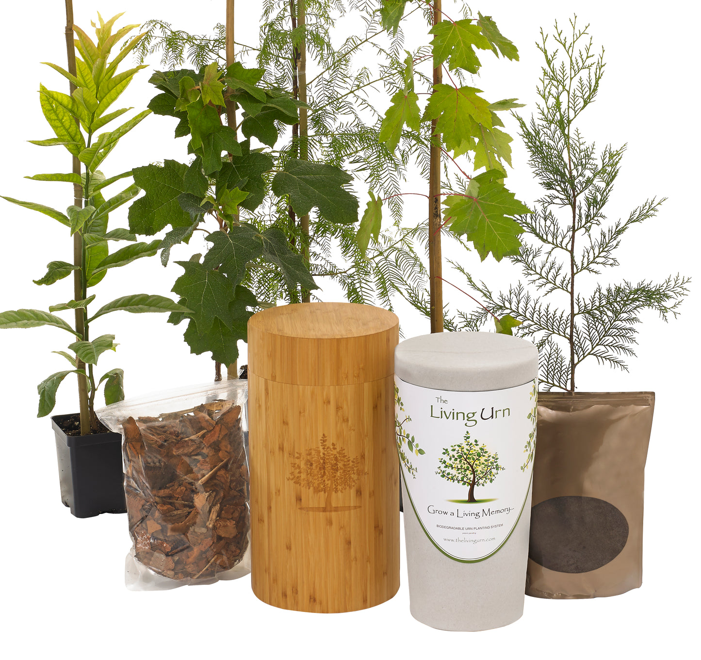 The Living Urn - Memorial Tree