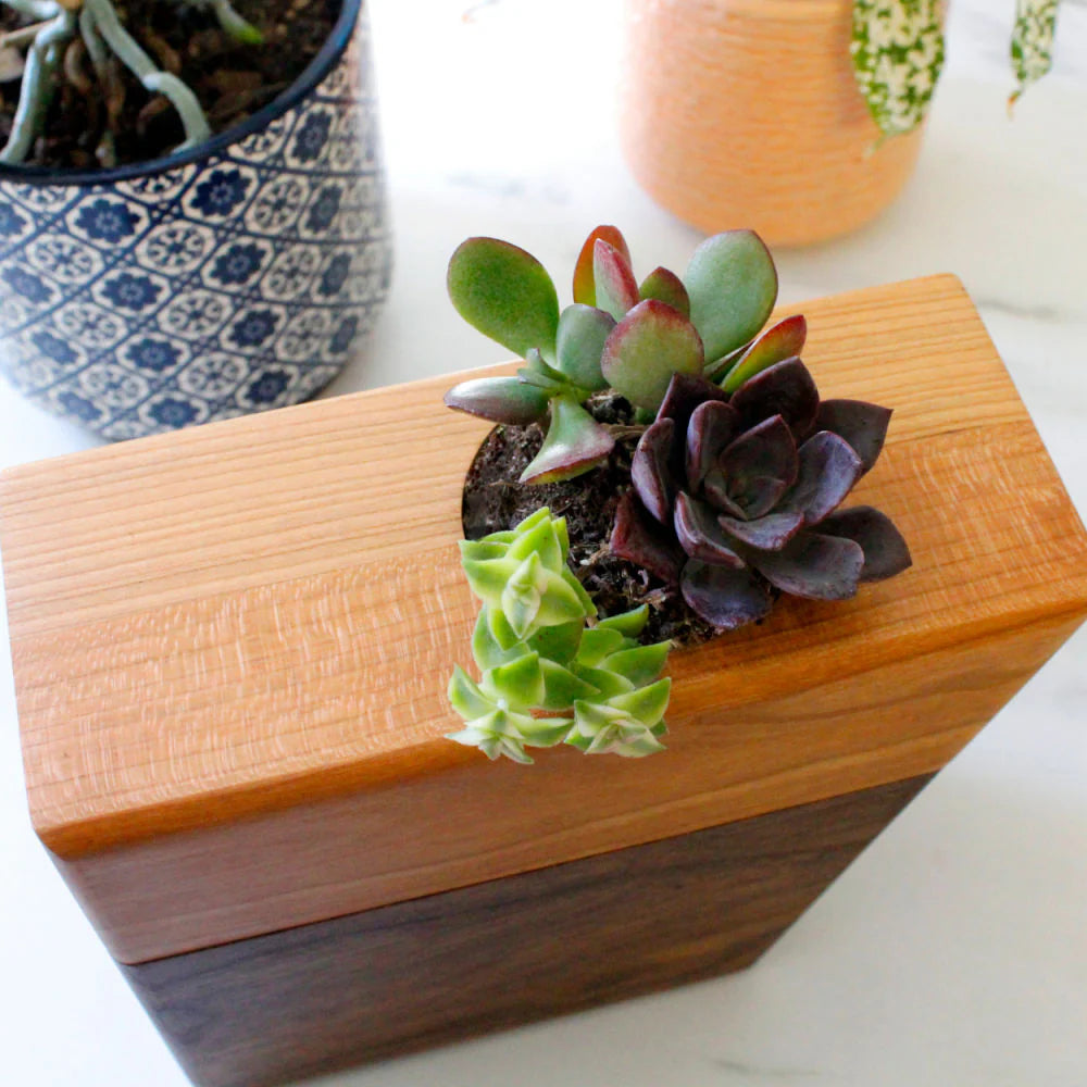 The Living Urn Planter Keepsake