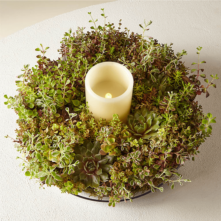 Evergreen Succulent Wreath & Cream Candle