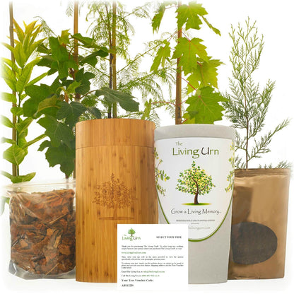 The Living Urn with a Tree Voucher